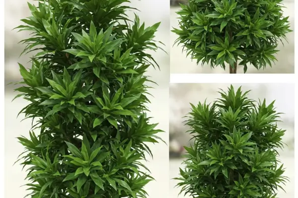 A Planta que Purifica o Ar e é Perfeita para Iniciantes